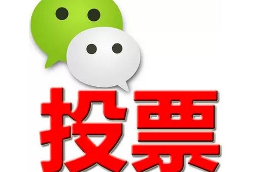 连云港市微信投票功能开发 上传图片投票